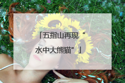 五指山再现“水中大熊猫”