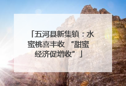 五河县新集镇：水蜜桃喜丰收 “甜蜜经济促增收”