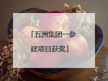 五洲集团一参建项目获奖