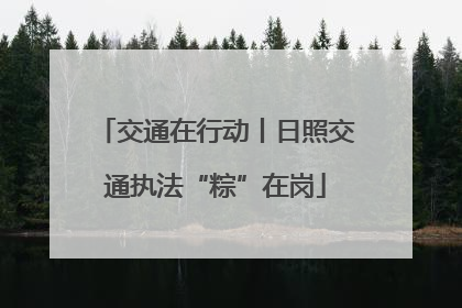 交通在行动丨日照交通执法“粽”在岗