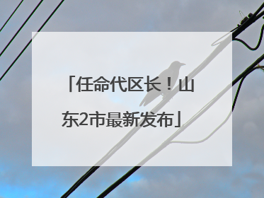 任命代区长！山东2市最新发布