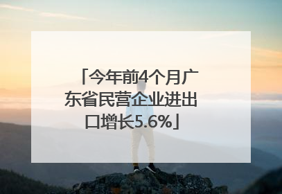 今年前4个月广东省民营企业进出口增长5.6%
