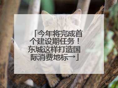 今年将完成首个建设期任务！东城这样打造国际消费地标→
