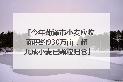 今年菏泽市小麦应收面积约930万亩，超九成小麦已颗粒归仓