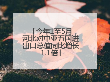 今年1至5月，河北对中亚五国进出口总值同比增长1.1倍