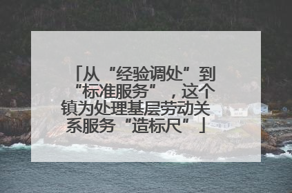 从“经验调处”到“标准服务”，这个镇为处理基层劳动关系服务“造标尺”