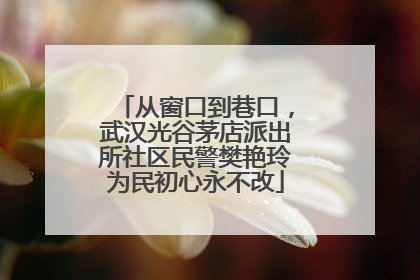 从窗口到巷口，武汉光谷茅店派出所社区民警樊艳玲为民初心永不改