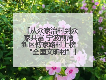 从众家治村到众家共富 宁波前湾新区傅家路村上榜“全国文明村”