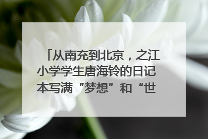从南充到北京，之江小学学生唐海铃的日记本写满“梦想”和“世界”｜您牵挂的四川