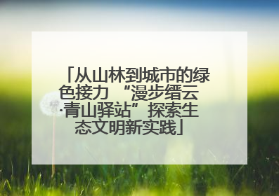 从山林到城市的绿色接力 “漫步缙云·青山驿站”探索生态文明新实践