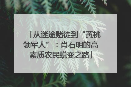 从迷途赌徒到“黄桃领军人”：肖石明的高素质农民蜕变之路