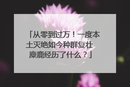 从零到过万！一度本土灭绝如今种群复壮 麋鹿经历了什么？