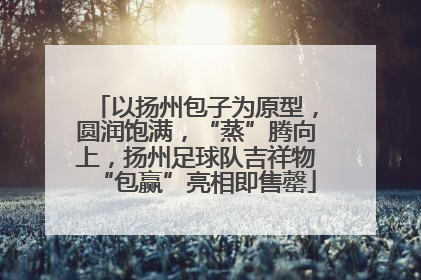 以扬州包子为原型，圆润饱满，“蒸”腾向上，扬州足球队吉祥物“包赢”亮相即售罄