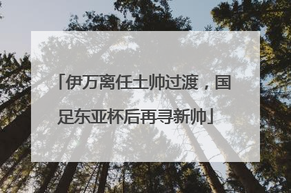 伊万离任土帅过渡，国足东亚杯后再寻新帅