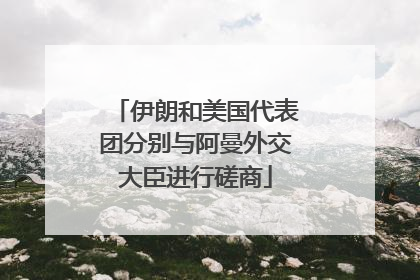 伊朗和美国代表团分别与阿曼外交大臣进行磋商