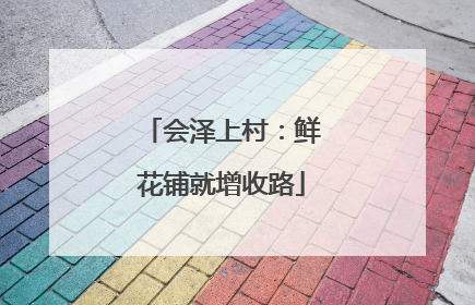 会泽上村：鲜花铺就增收路