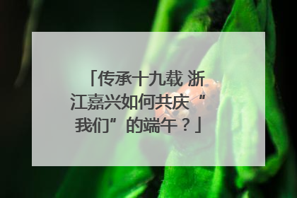 传承十九载 浙江嘉兴如何共庆“我们”的端午？