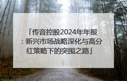 传音控股2024年年报：新兴市场战略深化与高分红策略下的突围之路
