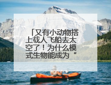 又有小动物搭上载人飞船去太空了！为什么模式生物能成为“探索代表”？