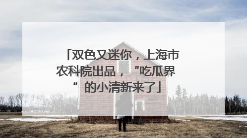 双色又迷你，上海市农科院出品，“吃瓜界”的小清新来了