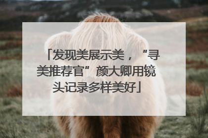 发现美展示美，“寻美推荐官”颜大卿用镜头记录多样美好