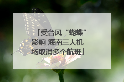 受台风“蝴蝶”影响 海南三大机场取消多个航班