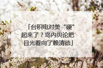 台积电对美“硬”起来了？岛内舆论把目光看向了赖清德