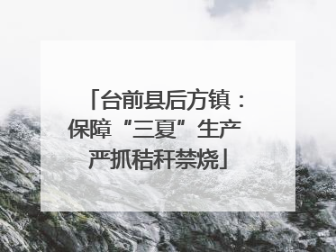 台前县后方镇：保障“三夏”生产 严抓秸秆禁烧