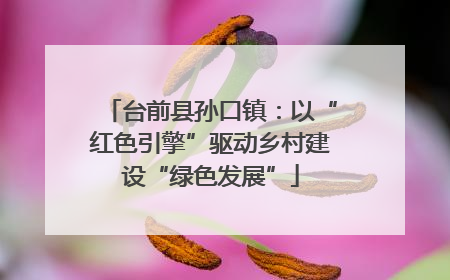 台前县孙口镇：以“红色引擎”驱动乡村建设“绿色发展”