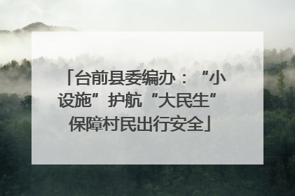 台前县委编办：“小设施”护航“大民生” 保障村民出行安全