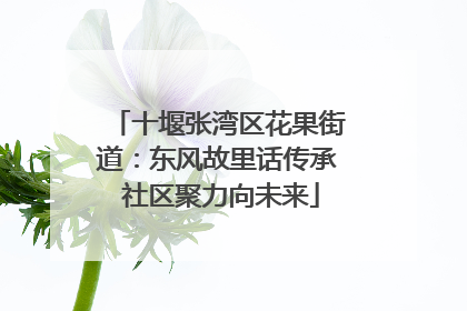 十堰张湾区花果街道：东风故里话传承 社区聚力向未来