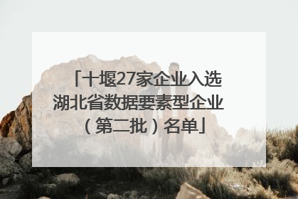 十堰27家企业入选湖北省数据要素型企业（第二批）名单
