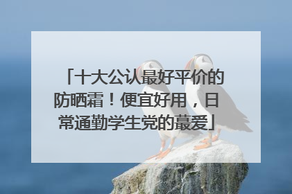 十大公认最好平价的防晒霜！便宜好用，日常通勤学生党的蕞爱