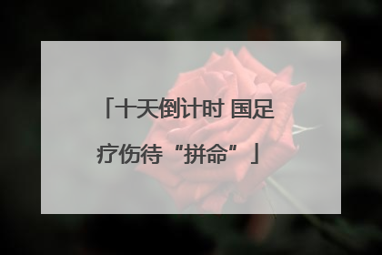 十天倒计时 国足疗伤待“拼命”