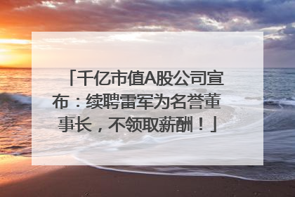 千亿市值A股公司宣布：续聘雷军为名誉董事长，不领取薪酬！