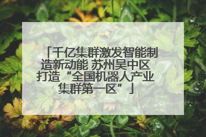 千亿集群激发智能制造新动能 苏州吴中区打造“全国机器人产业集群第一区”