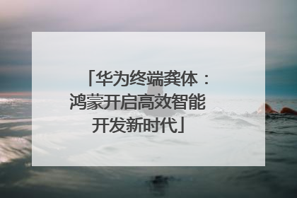 华为终端龚体：鸿蒙开启高效智能开发新时代