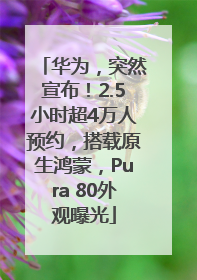 华为，突然宣布！2.5小时超4万人预约，搭载原生鸿蒙，Pura 80外观曝光