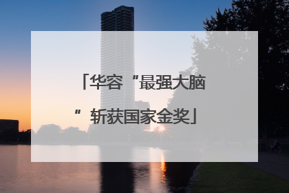 华容“最强大脑”斩获国家金奖