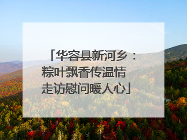 华容县新河乡：粽叶飘香传温情 走访慰问暖人心