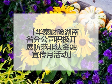 华泰财险湖南省分公司积极开展防范非法金融宣传月活动