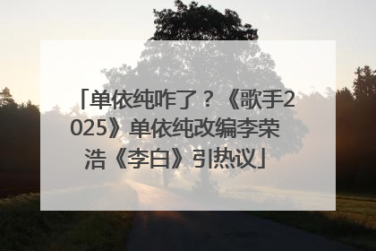 单依纯咋了？《歌手2025》单依纯改编李荣浩《李白》引热议