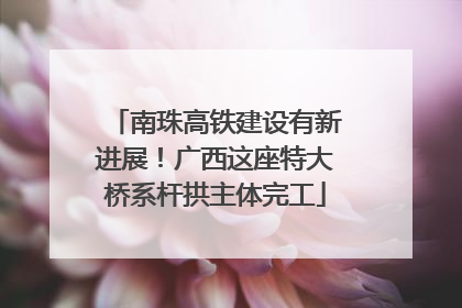 南珠高铁建设有新进展！广西这座特大桥系杆拱主体完工