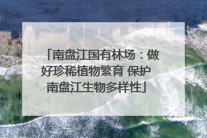 南盘江国有林场：做好珍稀植物繁育 保护南盘江生物多样性