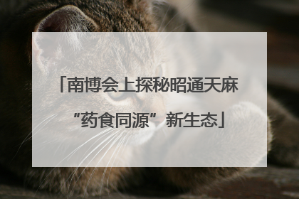 南博会上探秘昭通天麻“药食同源”新生态