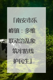 南安市乐峰镇：多维联动治乱象 筑牢防线护民生