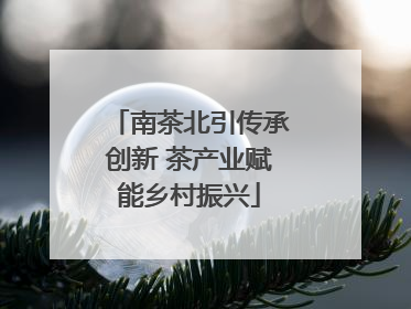 南茶北引传承创新 茶产业赋能乡村振兴