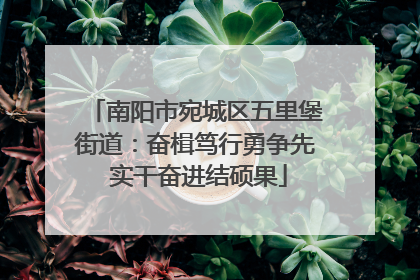 南阳市宛城区五里堡街道：奋楫笃行勇争先 实干奋进结硕果