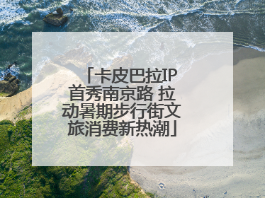 卡皮巴拉IP首秀南京路 拉动暑期步行街文旅消费新热潮