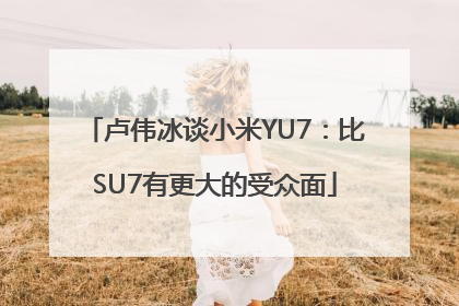 卢伟冰谈小米YU7：比SU7有更大的受众面